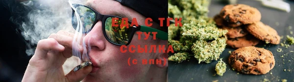 тгк Алзамай
