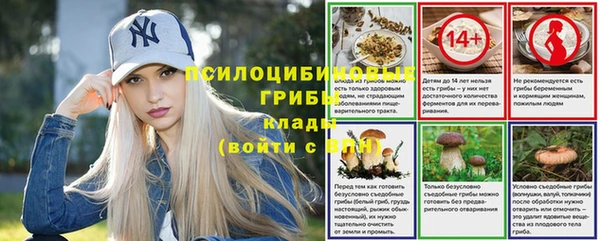 PSILOCYBIN Алексин