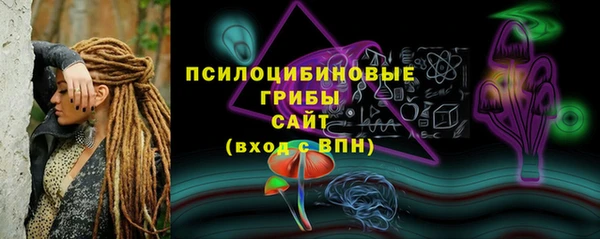 PSILOCYBIN Алексин